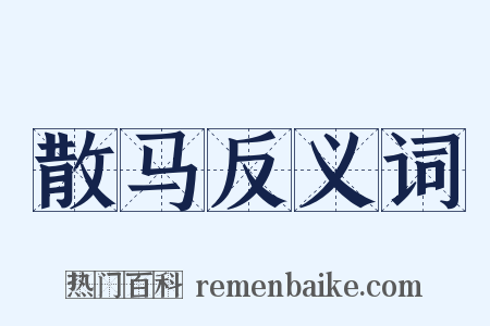 散马反义词是什么意思的图片